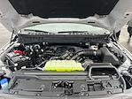 New 2025 Ford F-150 Tremor SuperCrew Cab for sale #F51307 - photo 30