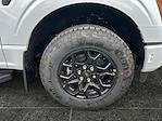 New 2025 Ford F-150 XLT SuperCrew Cab for sale #F51316 - photo 9