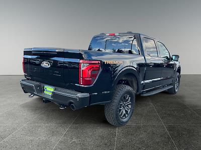New 2025 Ford F-150 - photo 1