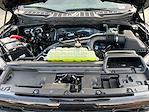 New 2026 Ford F-150 XLT SuperCrew Cab for sale #F60063 - photo 30