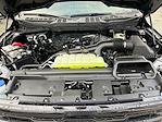 2026 Ford F-150 SuperCrew Cab 4WD Pickup for sale #F60223 - photo 30