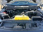 2026 Ford F-150 SuperCrew Cab 4WD Pickup for sale #F60355 - photo 29