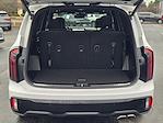 Used 2024 Kia Telluride SX for sale #LDS7635A - photo 14