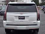 2019 Cadillac Escalade 4WD SUV for sale #LS2216A - photo 12
