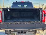 2023 Ford F-250 Crew Cab 4WD Plow Truck for sale #NDS8614A - photo 13