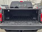 2017 Ford F-150 SuperCrew Cab 4WD Pickup for sale #NDS8614C - photo 13