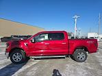 2025 Ford F-150 SuperCrew Cab 4x4, Pickup for sale #50185 - photo 8