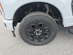2025 Ford F-350 Crew Cab SRW 4x4 Pickup for sale #50264 - photo 12