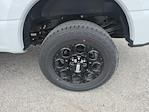 2025 Ford F-350 Crew Cab SRW 4x4 Pickup for sale #50264 - photo 13