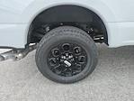 2025 Ford F-350 Crew Cab SRW 4x4 Pickup for sale #50264 - photo 14