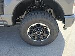 2025 Ford F-250 Crew Cab 4x4 Pickup for sale #50304 - photo 14