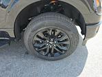 2025 Ford F-150 SuperCrew Cab 4x4 Pickup for sale #50337 - photo 15