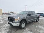 2021 Ford F-150 SuperCrew Cab 4WD Pickup for sale #F33369A - photo 9
