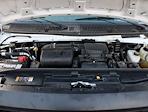2024 Ford E-350 RWD Box Truck for sale #WU212704 - photo 31
