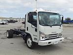 2024 Isuzu NPR-HD Regular Cab 4x2, Cab Chassis for sale #241944 - photo 4