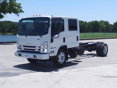 2024 Isuzu NRR Crew Cab DRW 4x2, Cab Chassis for sale #242940 - photo 1