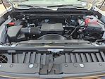 2025 Chevrolet Silverado 2500 Regular Cab 4x4 Pickup for sale #T25231 - photo 31