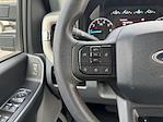 2024 Ford F-250 Crew Cab 4x4 Pickup for sale #F40211 - photo 20