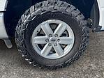 2021 Ford F-150 Regular Cab 4x4 Pickup for sale #F40341 - photo 8