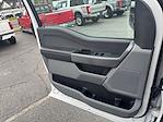 2024 Ford F-250 Crew Cab 4x4 Pickup for sale #F40436 - photo 18