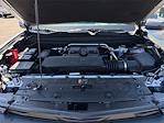 New 2025 Chevrolet Colorado Trail Boss Crew Cab 4WD Pickup for sale #250287T - photo 32
