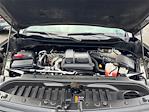 2023 Chevrolet Silverado 1500 Crew Cab 4WD Pickup for sale #P58804 - photo 23