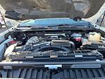 2024 Chevrolet Silverado 3500 Crew Cab 4WD Pickup for sale #P59063 - photo 33