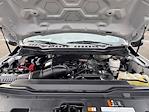 2024 Ford F-350 Regular Cab DRW 4WD Dump Truck for sale #P59129 - photo 41