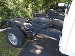 2024 Ford F-350 Crew Cab SRW 4x4 Cab Chassis for sale #24023T - photo 3