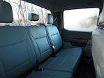 2024 Ford F-350 Crew Cab SRW 4x4 Pickup for sale #24050T - photo 11