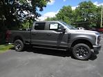 2024 Ford F-250 Crew Cab 4x4 Pickup for sale #24213T - photo 5