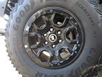 2024 Ford Bronco 4x4 SUV for sale #24433T - photo 6
