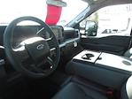 2024 Ford F-250 Crew Cab 4x4 Pickup for sale #24489T - photo 9