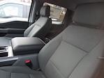 2024 Ford F-150 SuperCrew Cab 4x4 Pickup for sale #24493T - photo 7