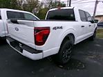 2025 Ford F-150 SuperCrew Cab 4x4 Pickup for sale #25393T - photo 5