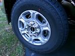 New 2026 Ford F-250 XLT Crew Cab for sale #26041T - photo 8