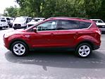 2016 Ford Escape 4x4 SUV for sale #5906P - photo 6