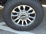 2020 Ford F-250 Crew Cab 4WD Pickup for sale #167102B - photo 13