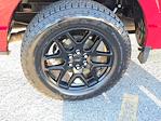 2024 Ford F-150 SuperCrew Cab RWD Pickup for sale #167640A - photo 14