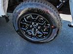 2025 Ford F-150 SuperCrew Cab 4WD Pickup for sale #167749 - photo 4