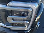 2026 Ford F-450 Crew Cab DRW 4WD Pickup for sale #168249 - photo 12