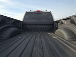 2025 Ford F-350 Crew Cab SRW 4WD Pickup for sale #168354A - photo 11