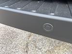 New 2026 Ford Transit 250 Low Roof Empty Cargo Van for sale #168515 - photo 7