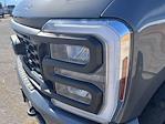2025 Ford F-250 Crew Cab 4WD Pickup for sale #168639 - photo 11