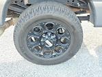 2024 Ford F-250 Crew Cab 4WD Pickup for sale #B01871 - photo 12