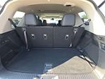 2025 Honda Pilot AWD SUV for sale #B01914 - photo 14