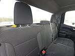 2023 Chevrolet Silverado 1500 Double Cab RWD Pickup for sale #C02480 - photo 16