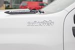2022 Chevrolet Silverado 3500 Crew Cab 4x4 Pickup for sale #T25341A - photo 5
