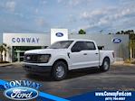 2024 Ford F-150 SuperCrew Cab 4x2 Pickup for sale #33881 - photo 1