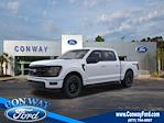 2025 Ford F-150 SuperCrew Cab 4x4 Pickup for sale #34260 - photo 1
